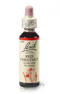 25. RED CHESTNUT - Kaštan červený